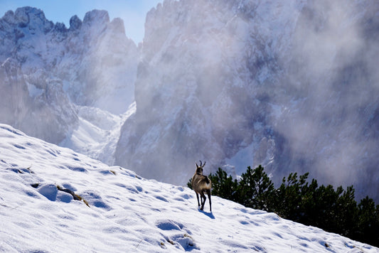 4-Day Mountain Hut Tour in Austria